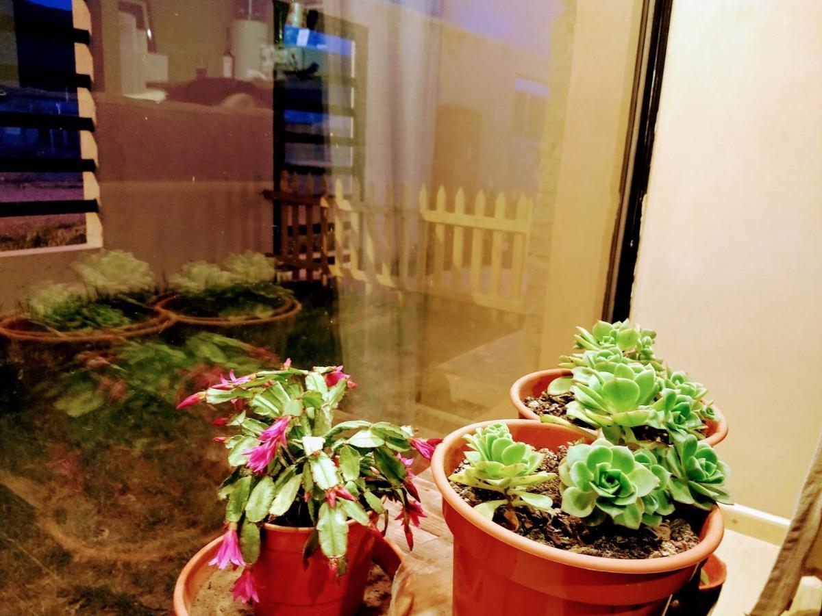 Gobernador Gregores Casa En Gregores מראה חיצוני תמונה